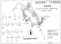 LUSS 1 Goosey Tysons Cave - Cumberland